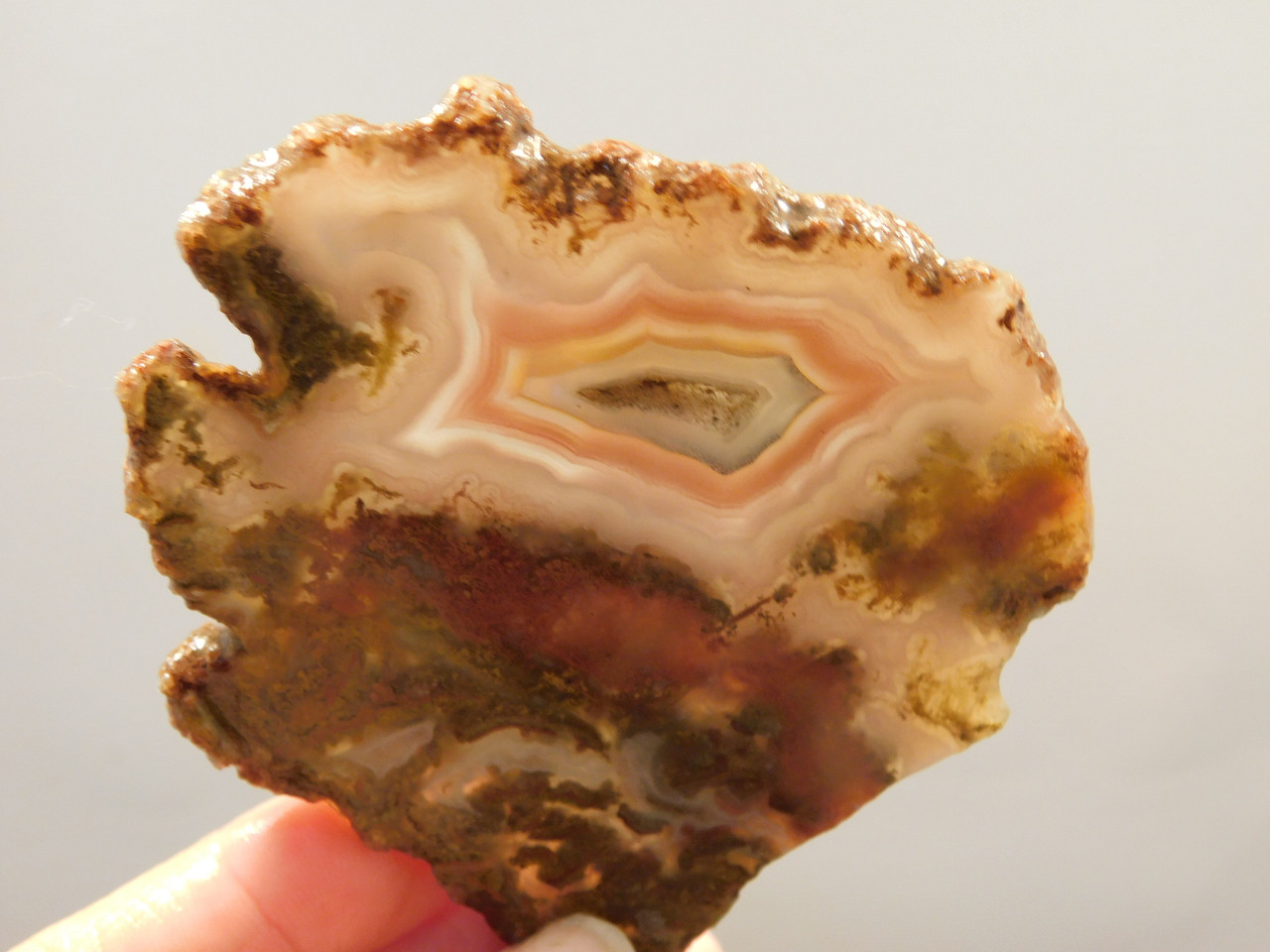 Red Banded Moss Agate Unpolished Stone Slab Cady Mountains  #O1