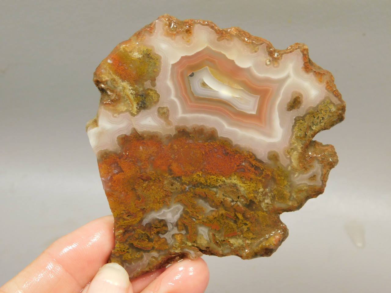Red Banded Moss Agate Unpolished Stone Slab Cady Mountains  #O1