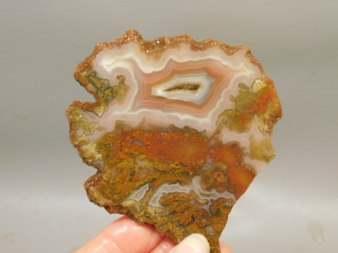 Red Banded Moss Agate Unpolished Stone Slab Cady Mountains  #O1