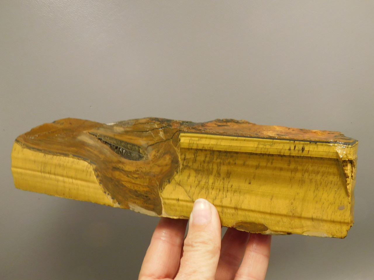 Tiger-eye Rough Rock Yellow Tiger's Eye Lapidary Cabbing #O20