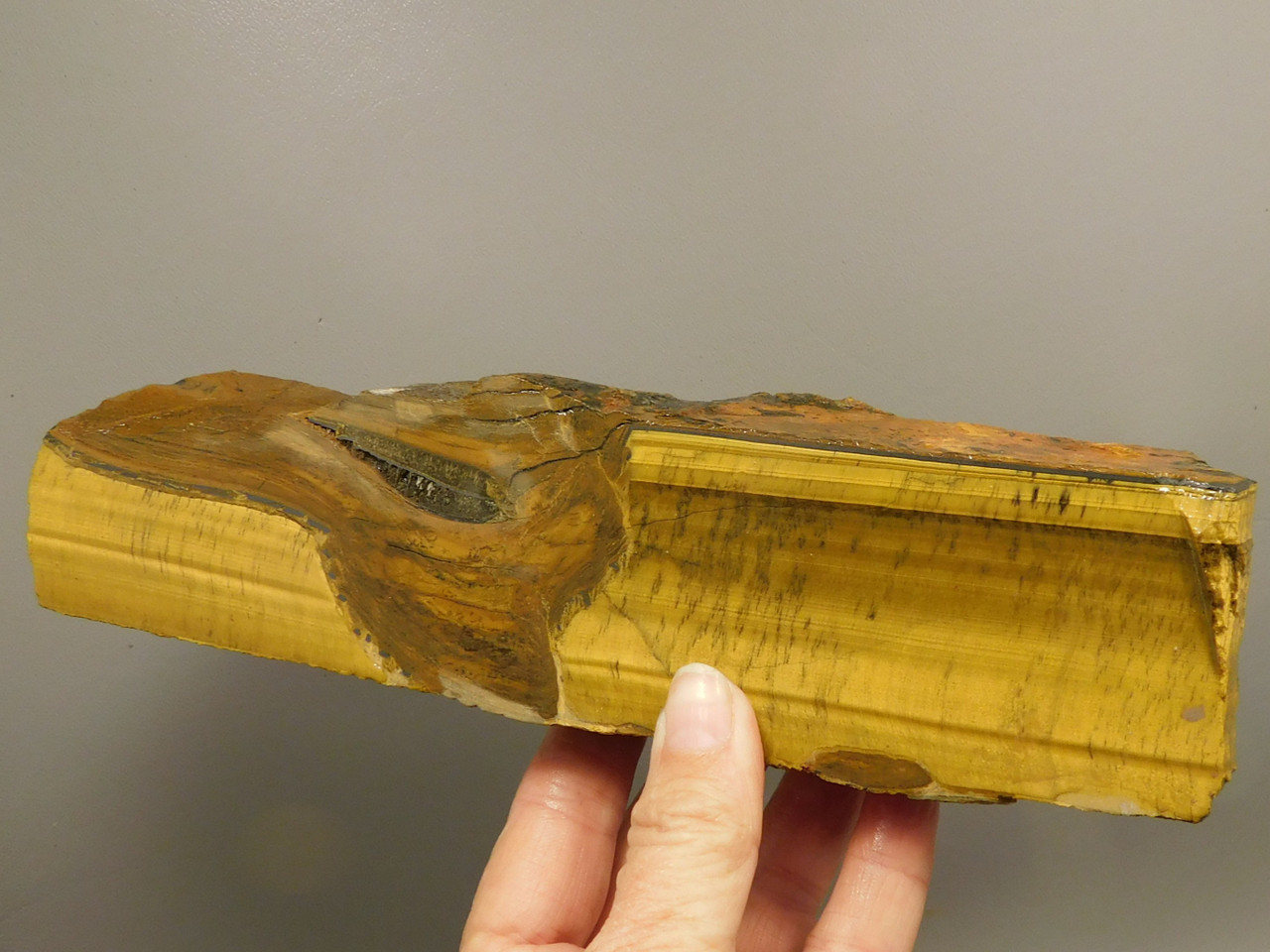 Tiger-eye Rough Rock Yellow Tiger's Eye Lapidary Cabbing #O20