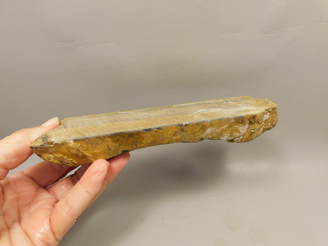 Tiger-eye Rough Rock Yellow Tiger's Eye Lapidary Cabbing #O22