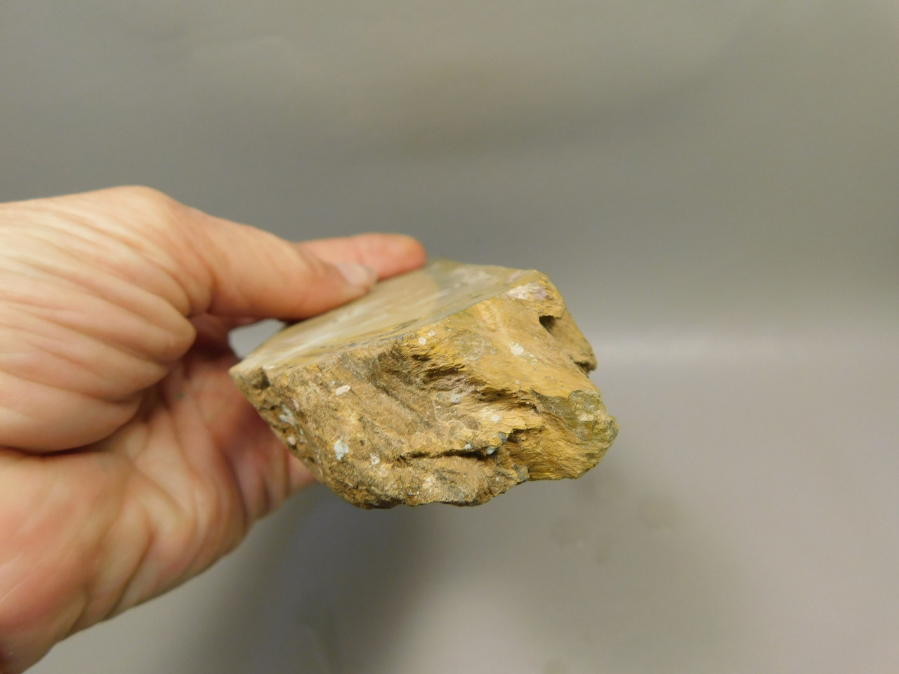 Tiger-eye Rough Rock Yellow Tiger's Eye Lapidary Cabbing #O22