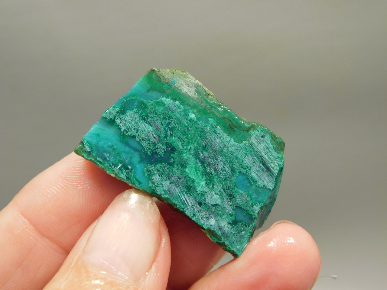 Gem Silica Chrysocolla Inspiration Mine Unpolished Stone Slab #O200