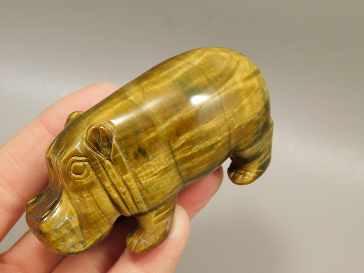 Hippopotamus Figurine Tiger-eye 3 inch Animal Carving Totem #O371