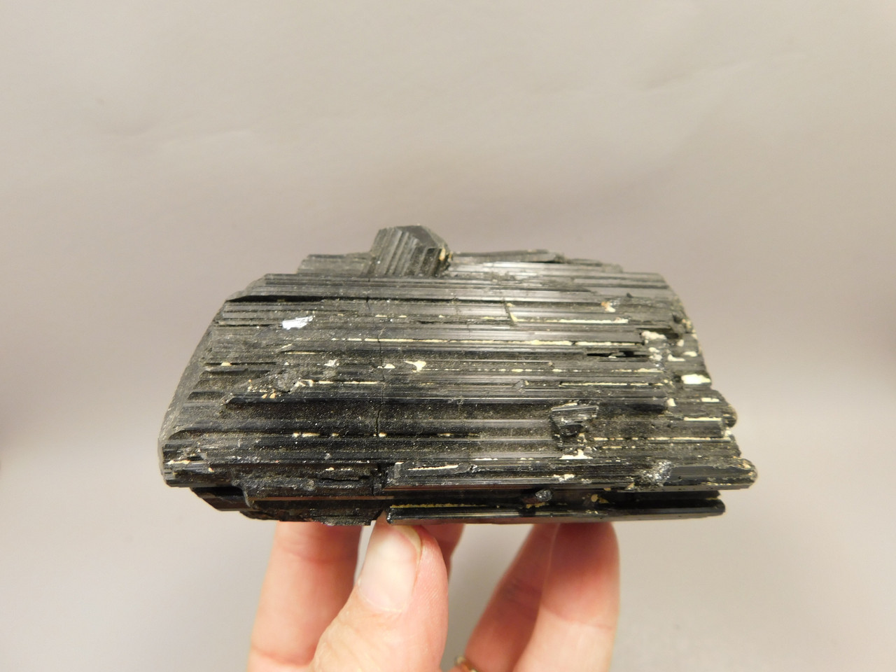 Black Tourmaline Natural 3.7 inch Crystal Schorl Mineral Specimen  #O1