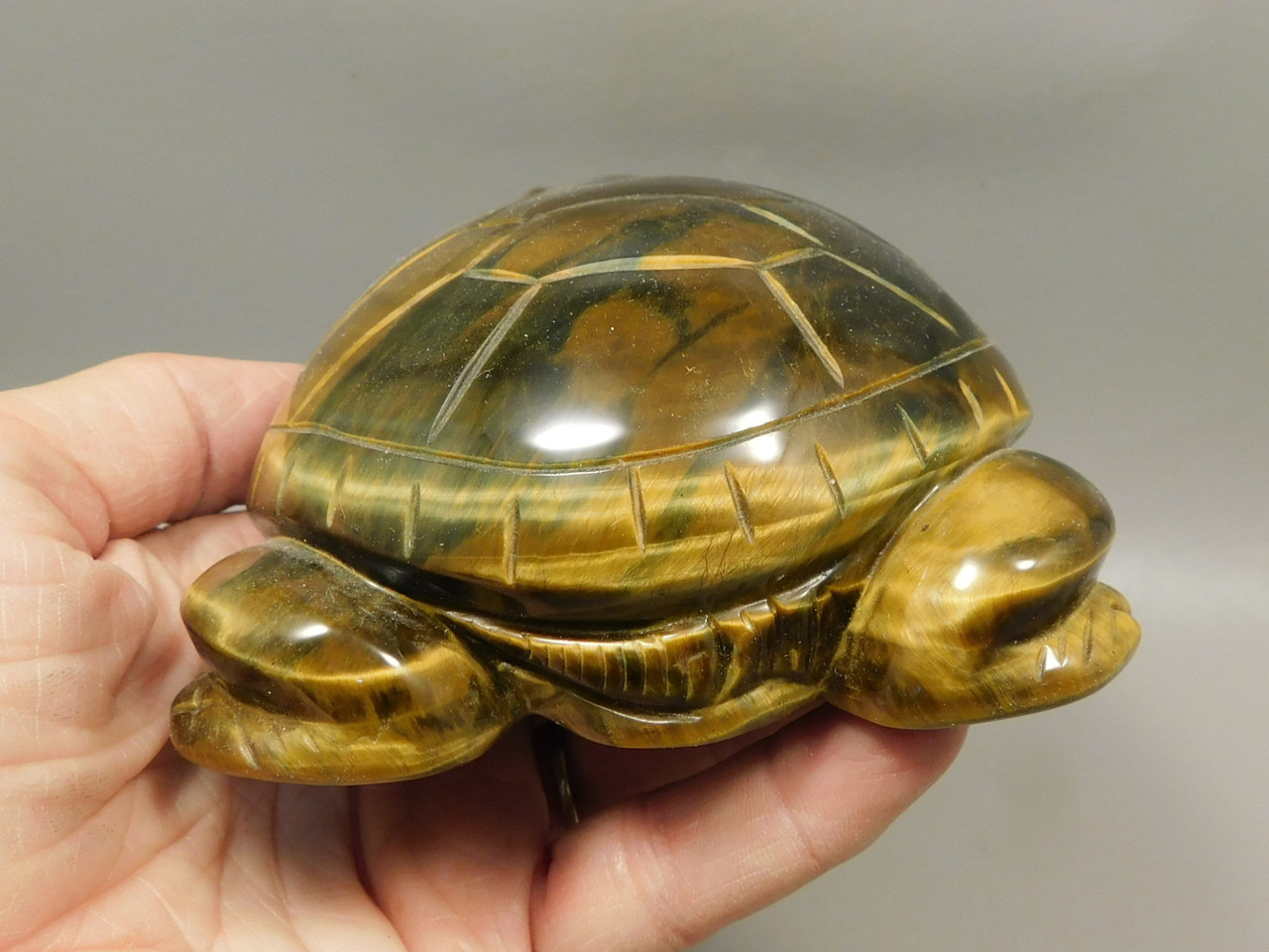 Turtle Figurine Tiger-eye 5.5 inch Gemstone Animal Carving #O73