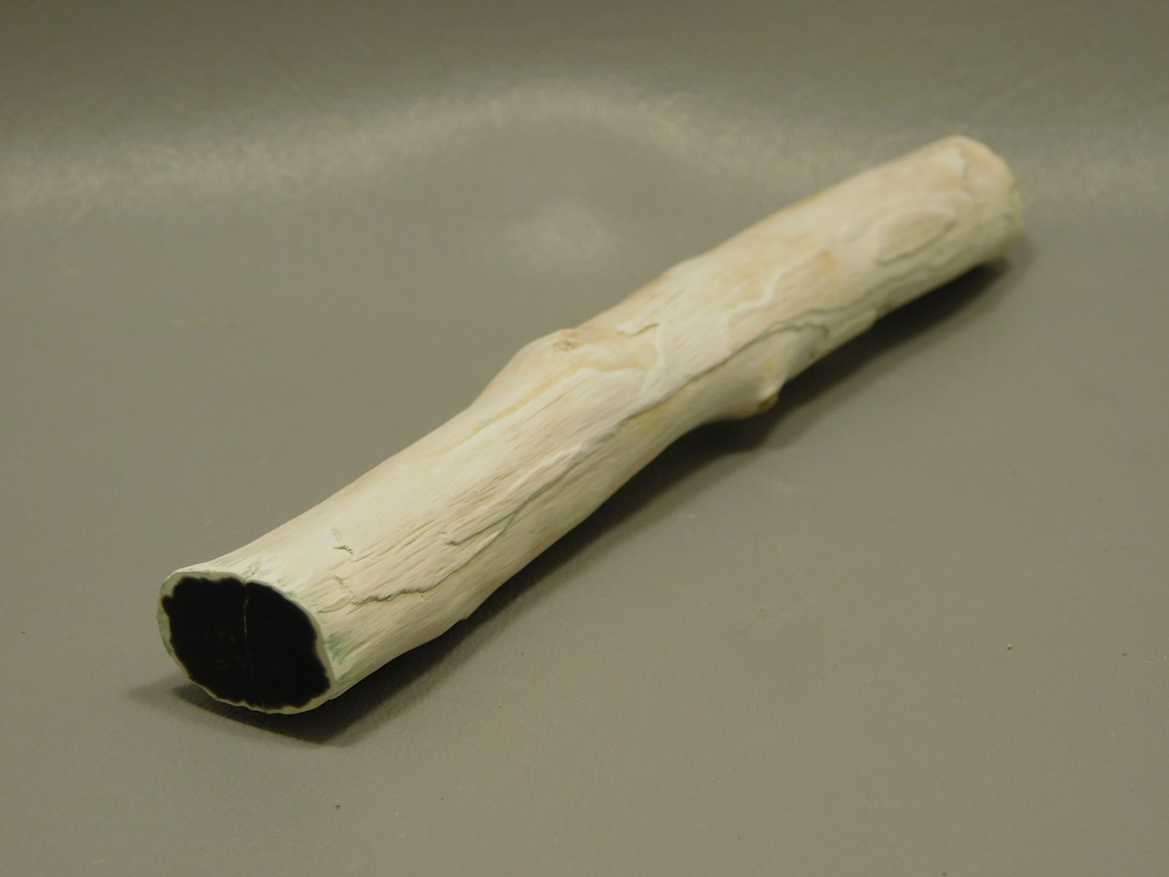 Petrified Wood Black Polished Limb Snake River Idaho #OSR4