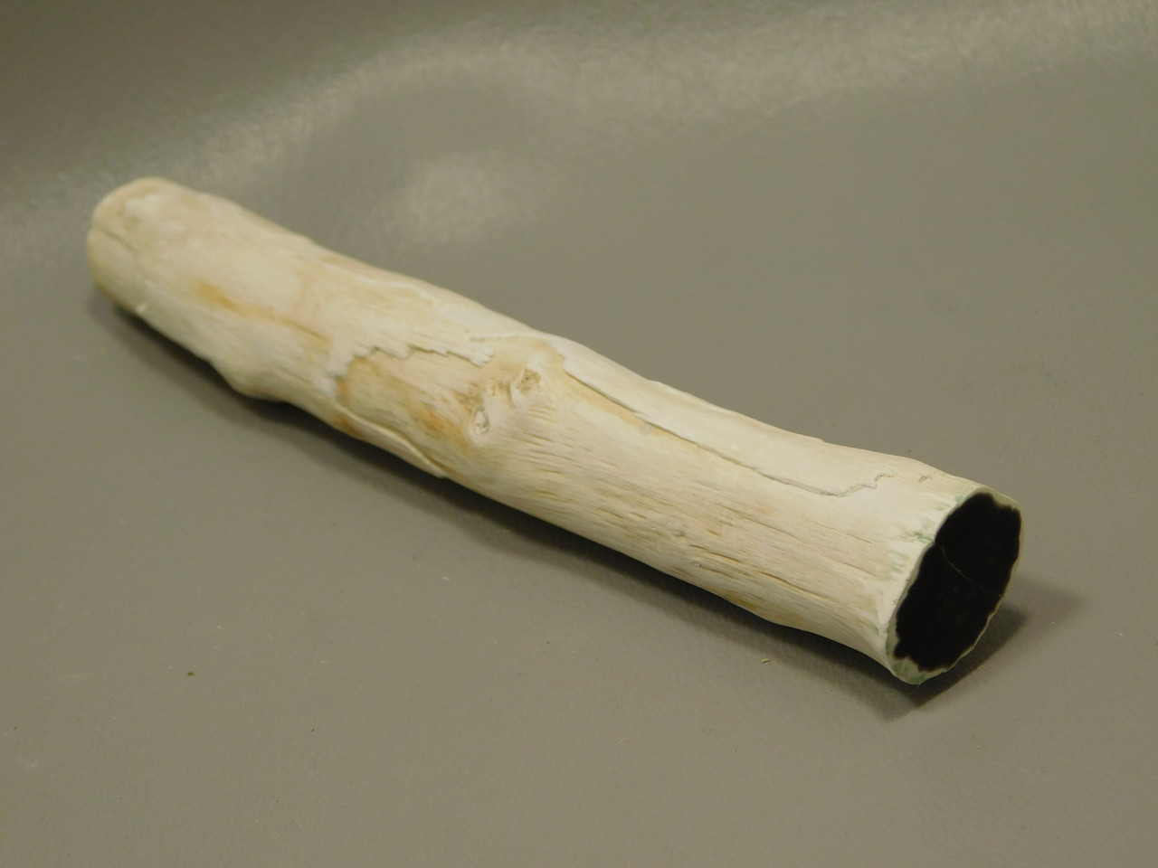 Petrified Wood Black Polished Limb Snake River Idaho #OSR4