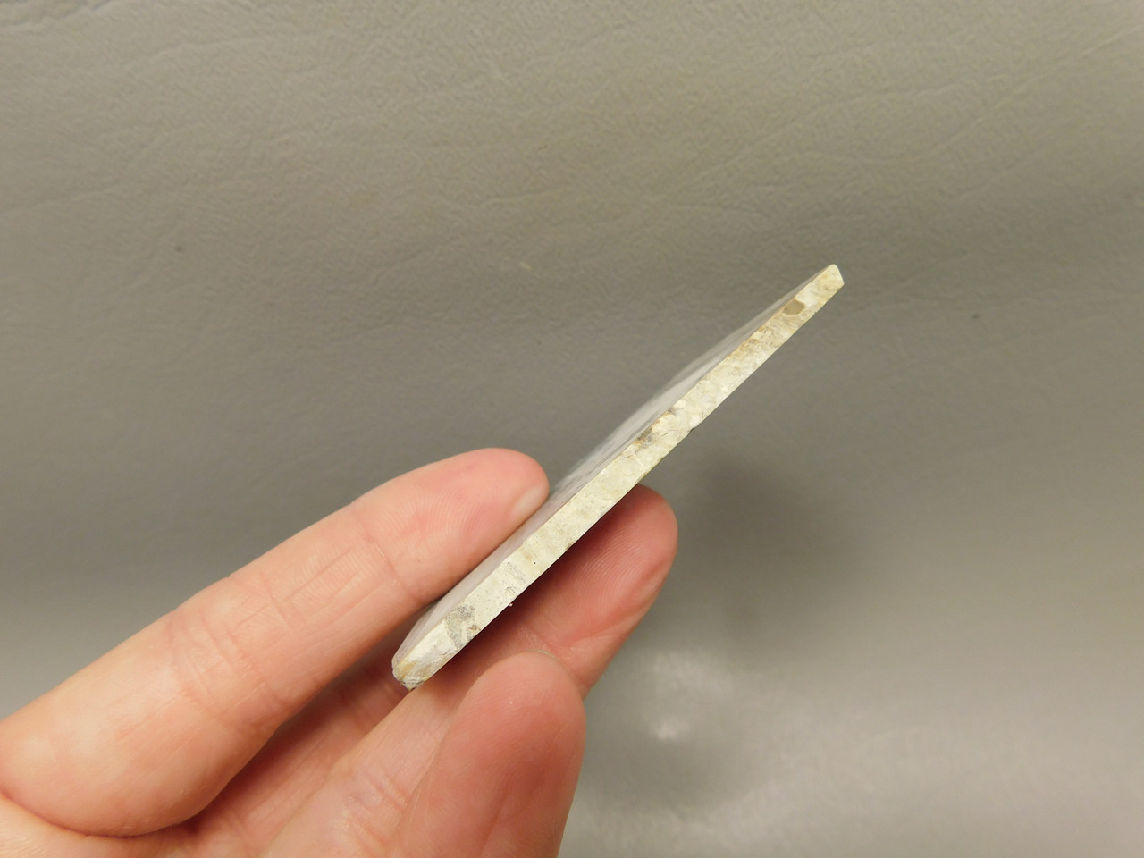 Cotham Marble Fossil Small Polished Stone Slab Stromatolite #O4