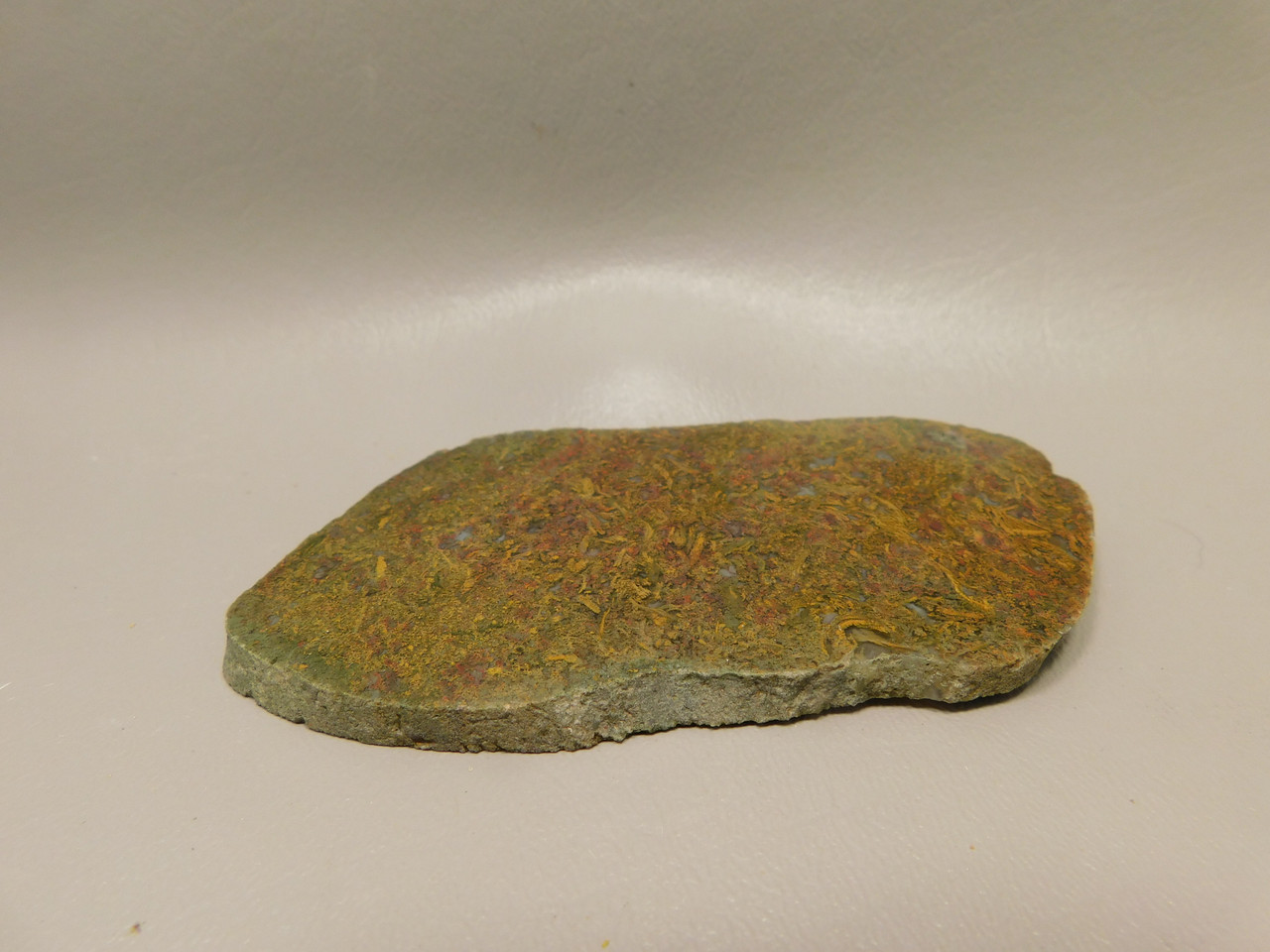 Agatized Whale Bone Fossilized Petrified Polished Rock Slab #O101