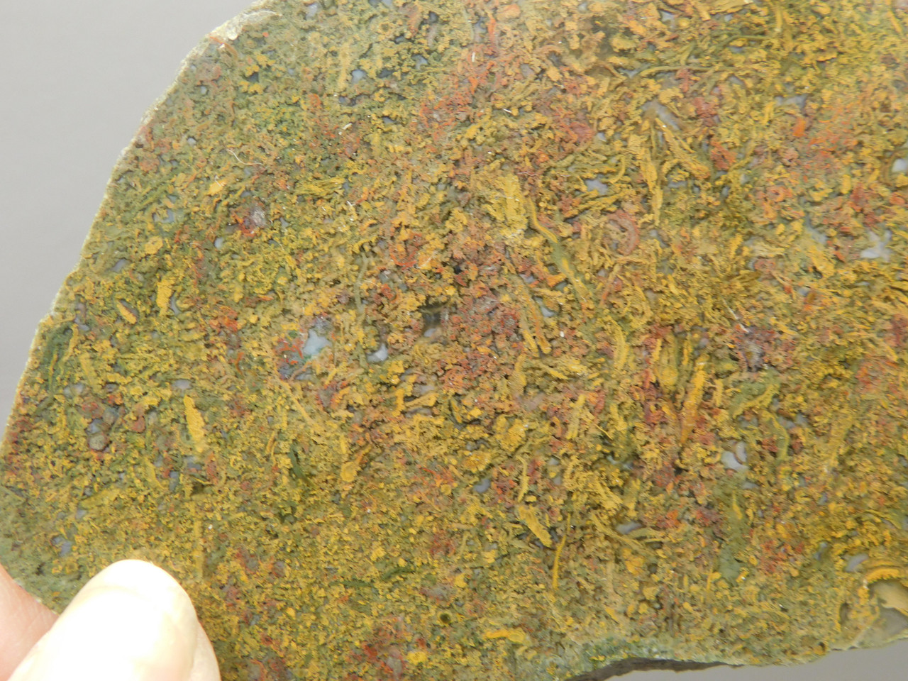 Agatized Whale Bone Fossilized Petrified Polished Rock Slab #O101