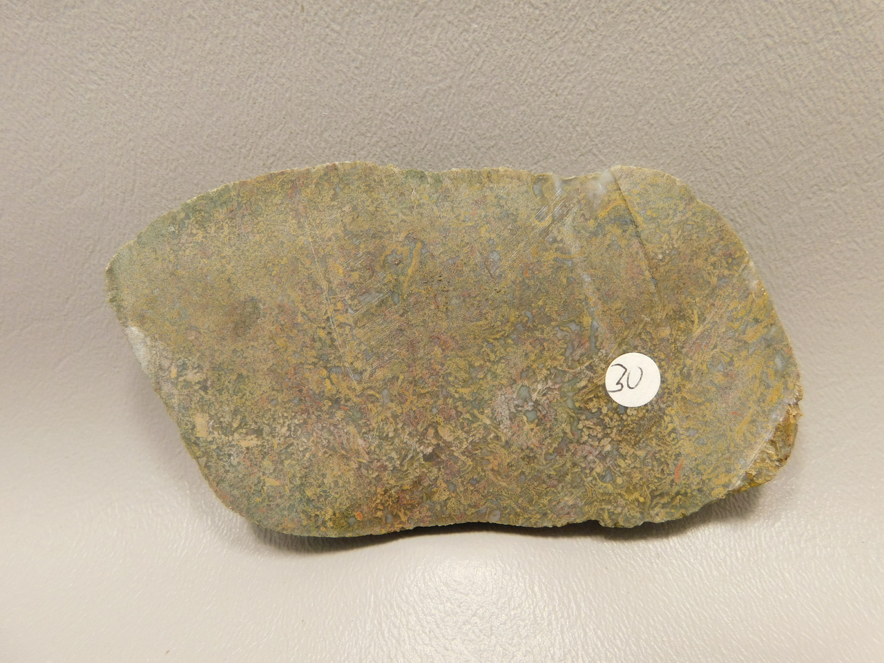 Agatized Whale Bone Fossilized Petrified Polished Rock Slab #O101