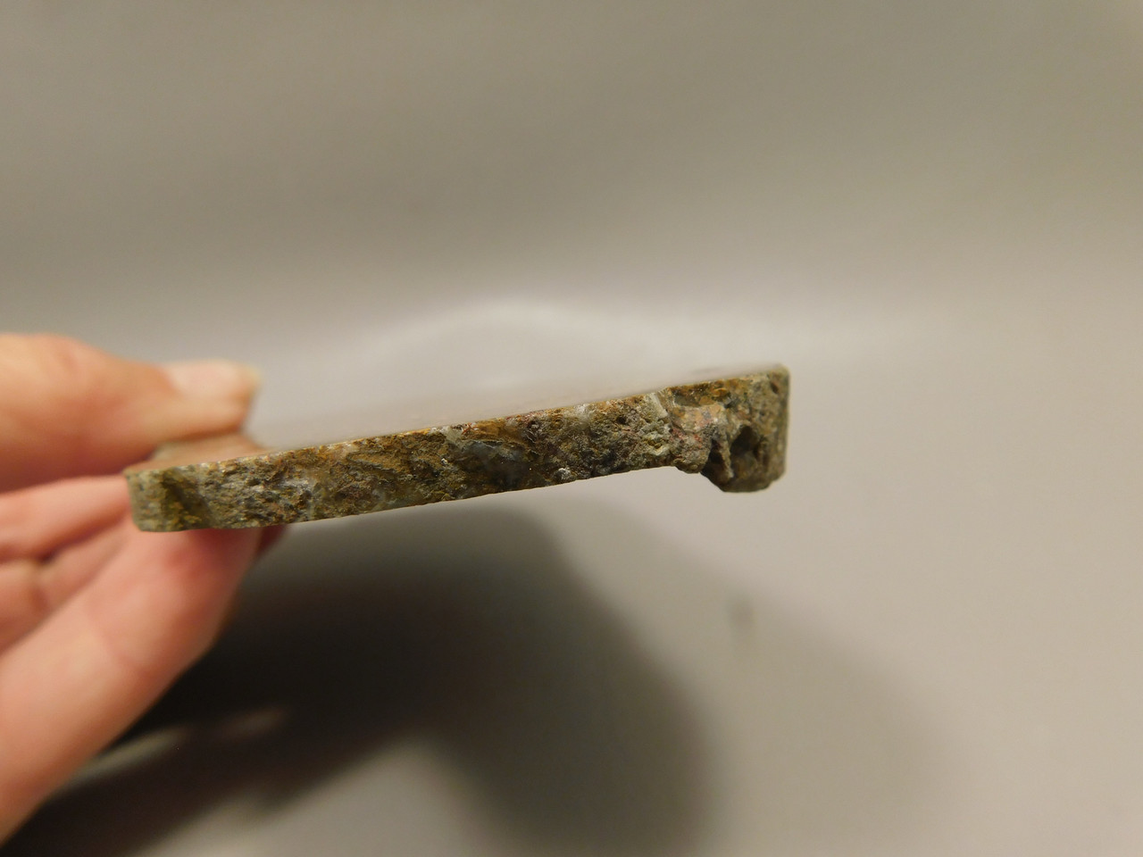 Agatized Whale Bone Fossilized Petrified Polished Rock Slab #O101