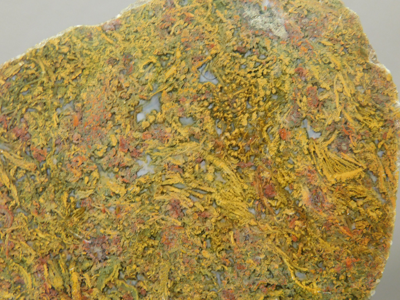 Agatized Whale Bone Fossilized Petrified Polished Rock Slab #O101