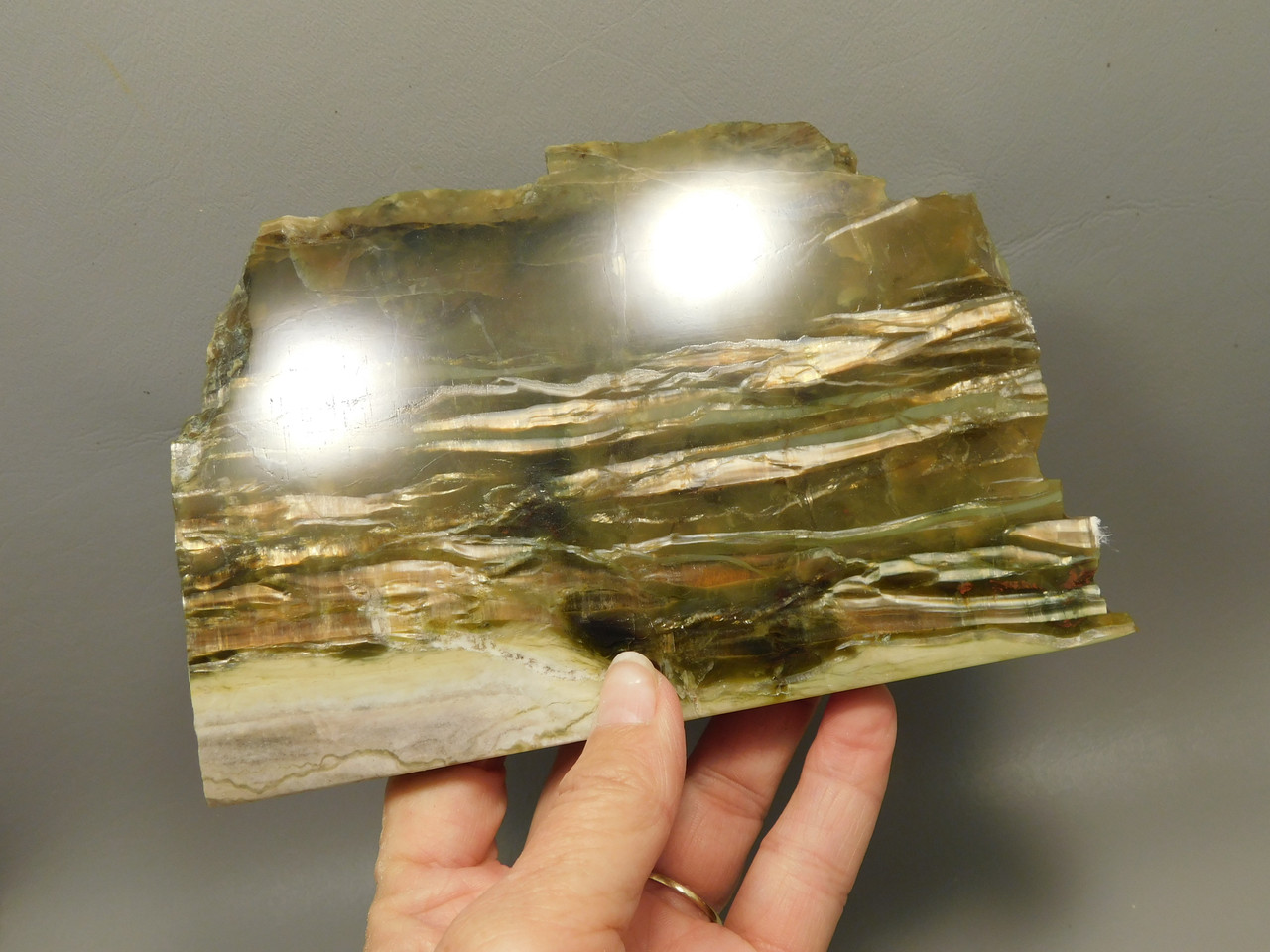 Arizona Pietersite Polished Stone Slab Chatoyant Tiger Eye #O4