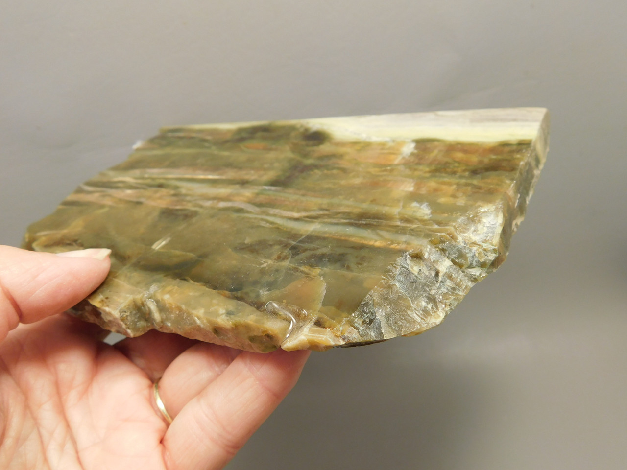 Arizona Pietersite Polished Stone Slab Chatoyant Tiger Eye #O4