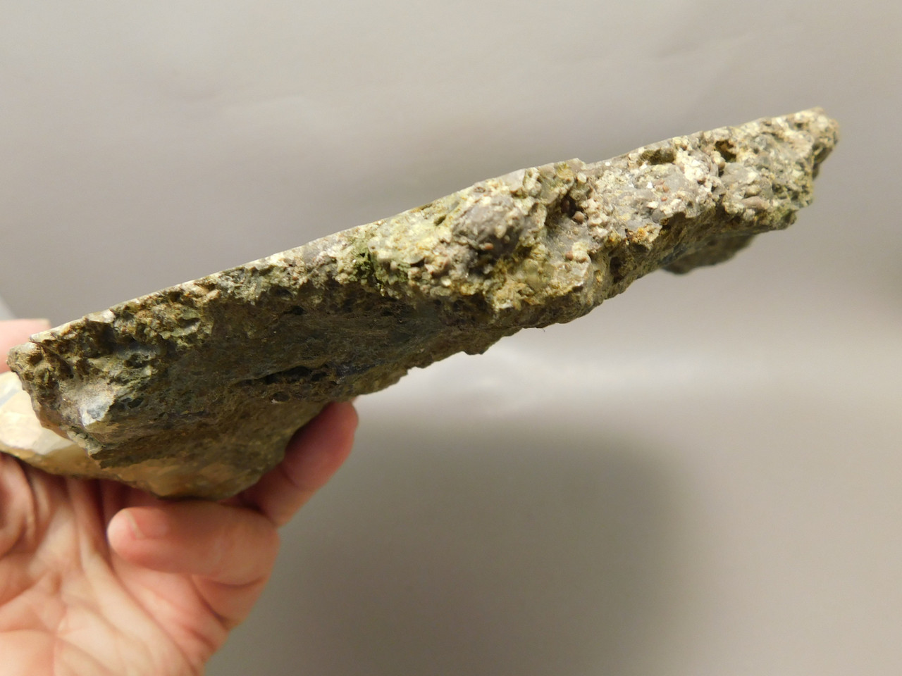 Lucky Strike Mine Thunderegg Agate Polished Stone #O200