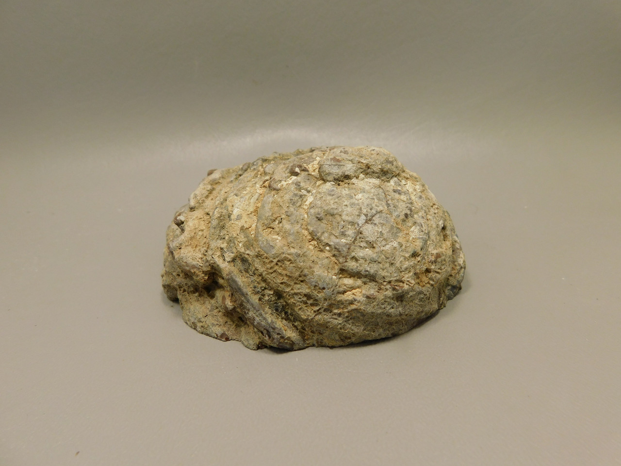 Dugway Thunderegg Rock Geode Blue Agate Druse Crystals #O27