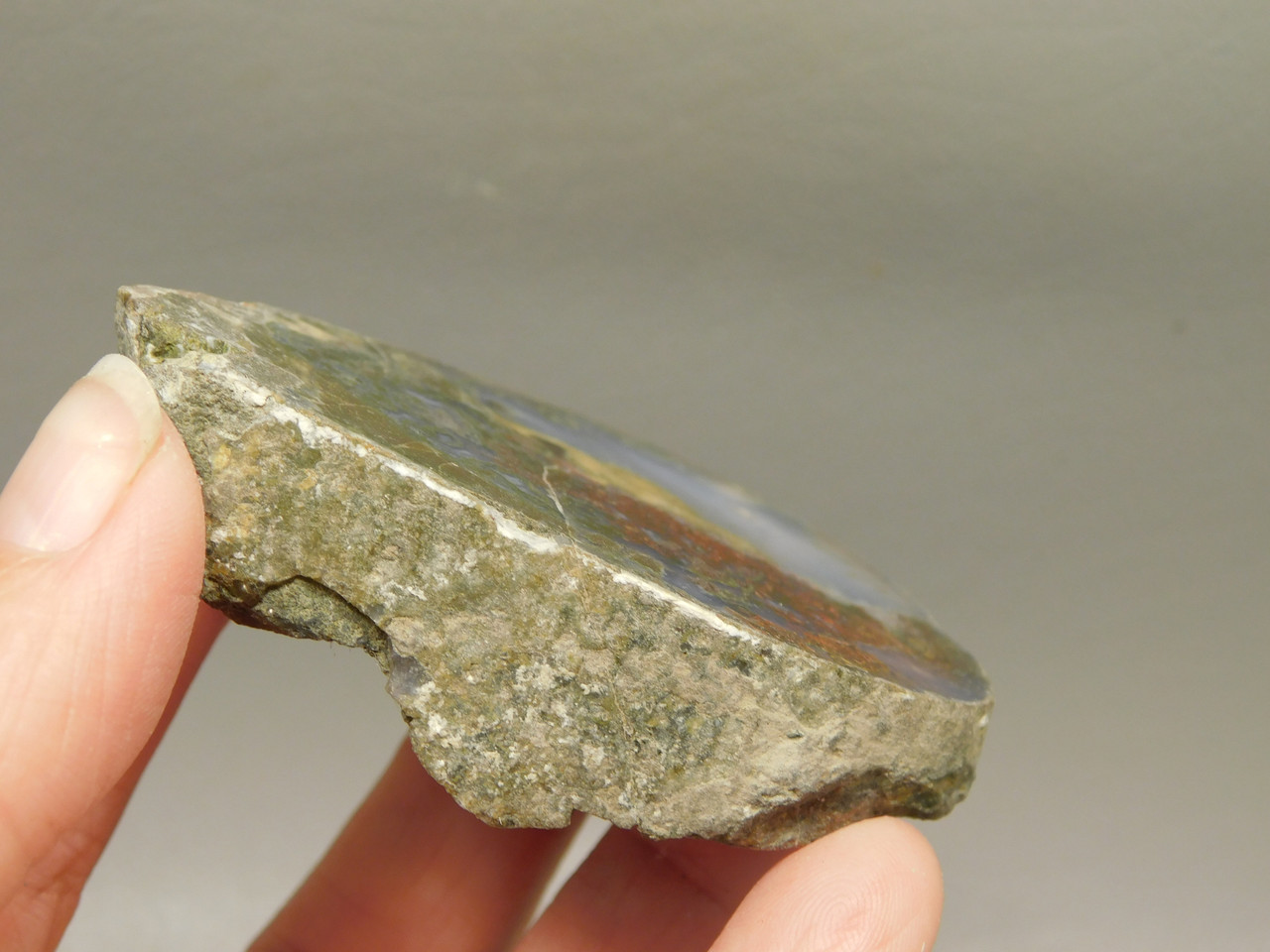 Owls Hole Agate Polished Rock Collector RARE Red Plume #O6