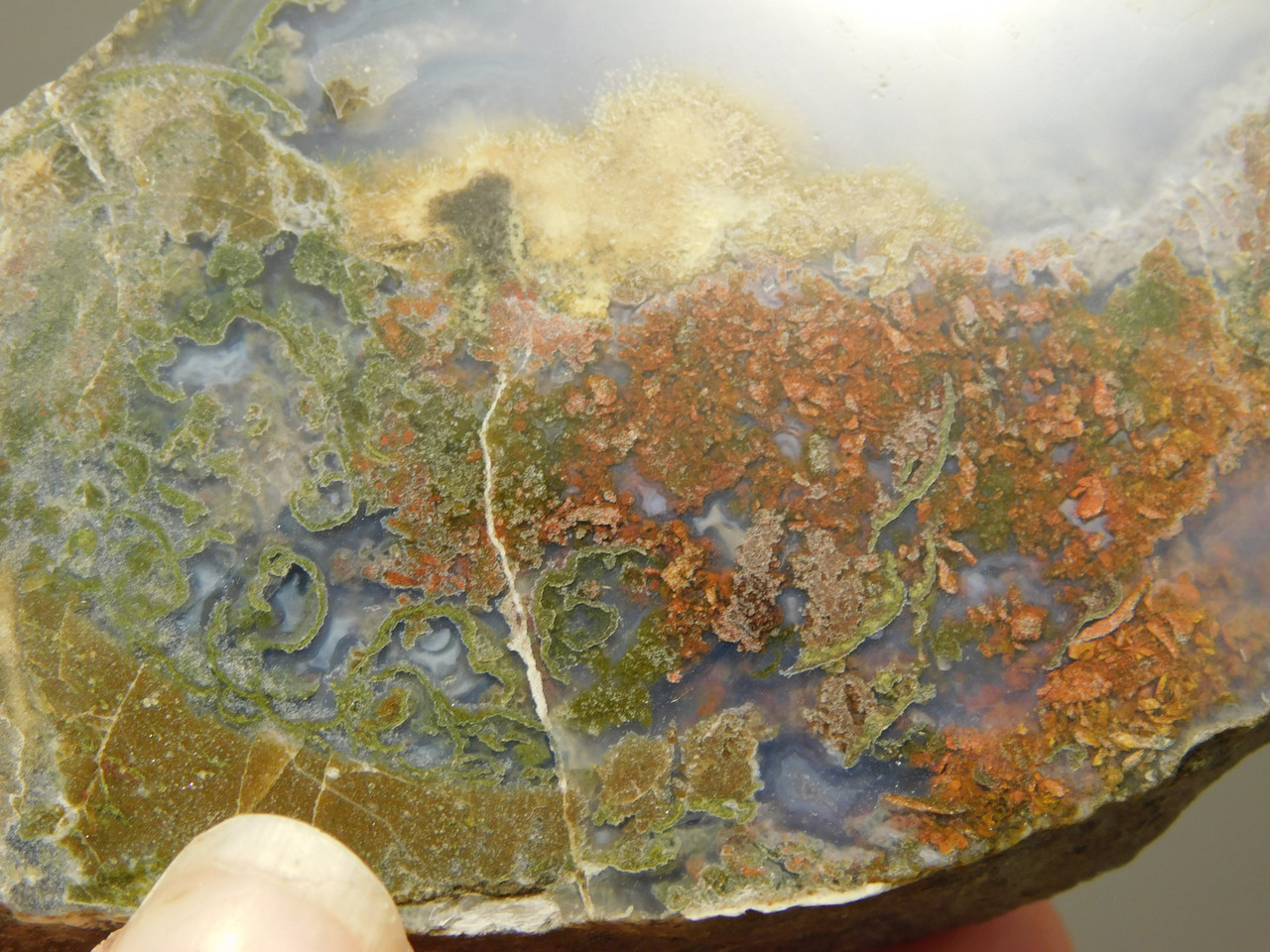 Owls Hole Agate Polished Rock Collector RARE Red Plume #O6