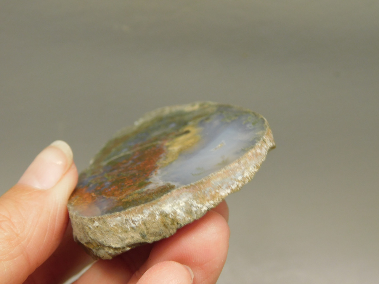 Owls Hole Agate Polished Rock Collector RARE Red Plume #O6