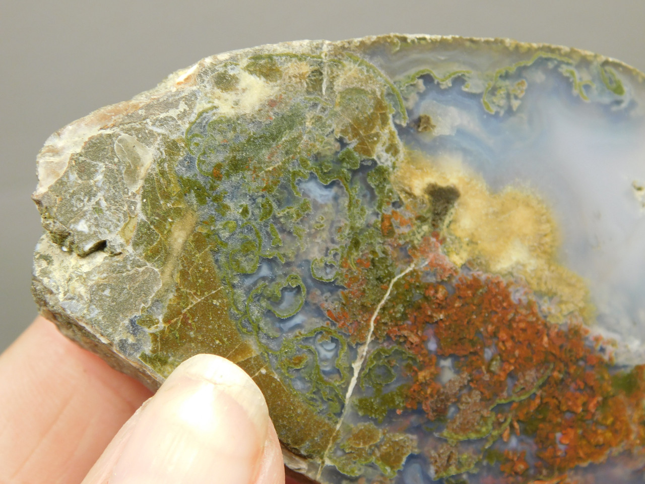 Owls Hole Agate Polished Rock Collector RARE Red Plume #O6