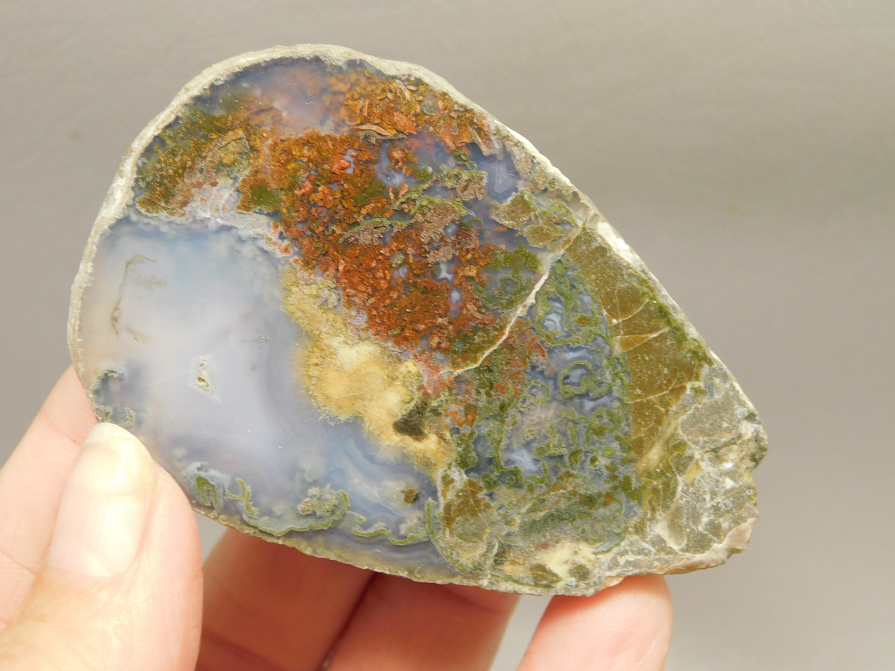 Owls Hole Agate Polished Rock Collector RARE Red Plume #O6