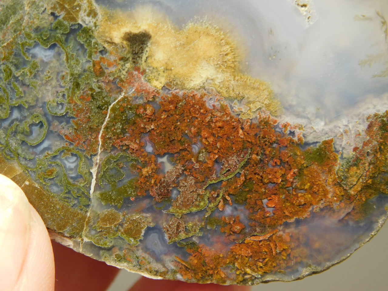 Owls Hole Agate Polished Rock Collector RARE Red Plume #O6