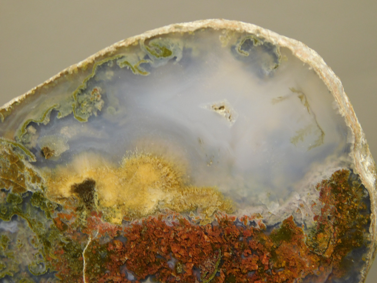 Owls Hole Agate Polished Rock Collector RARE Red Plume #O6