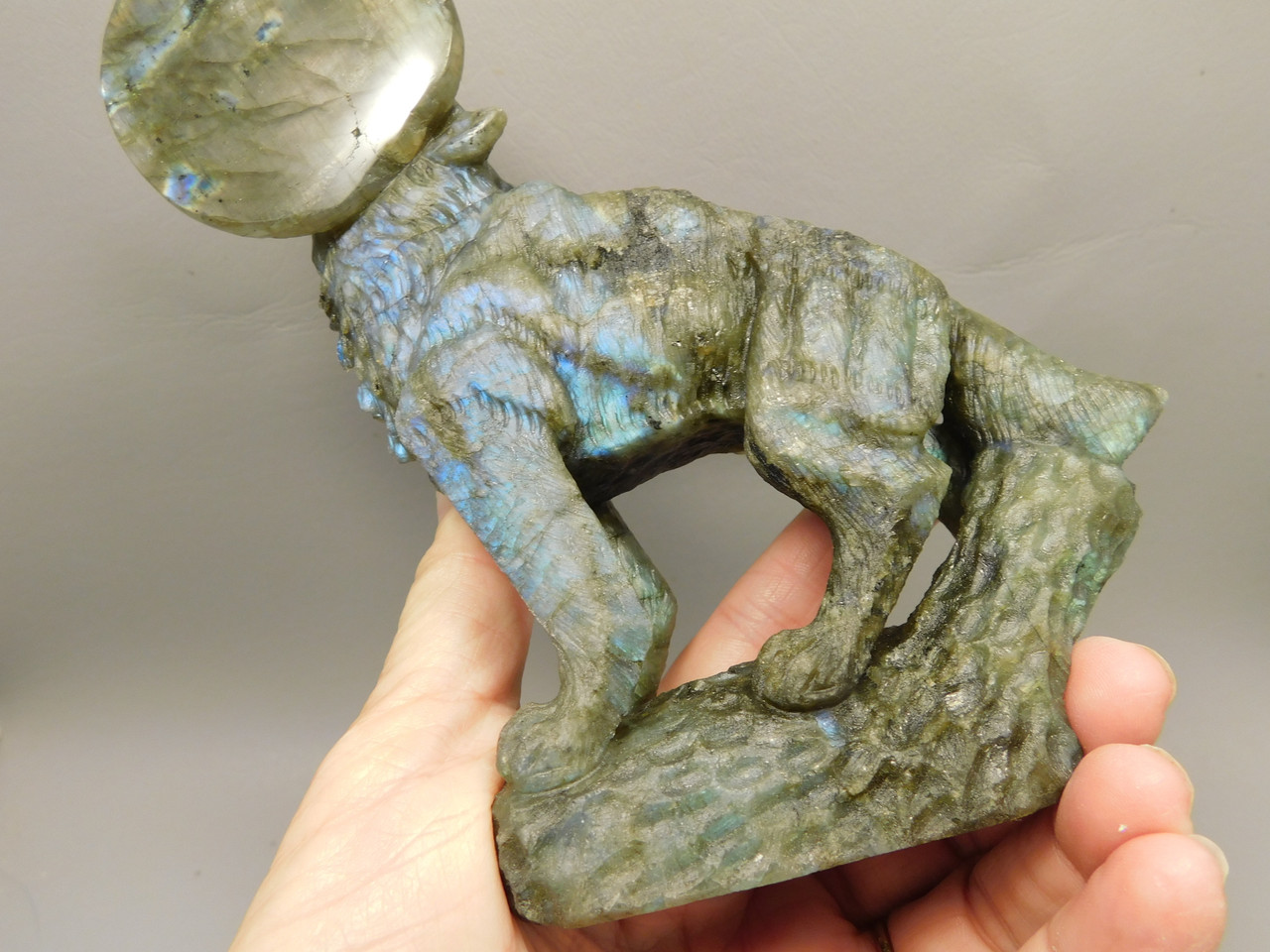 Howling Wolf Moon Figurine Labradorite 6 inch Coyote Carving #O445