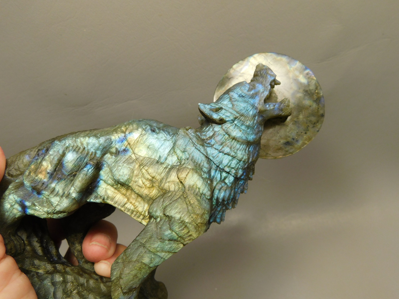 Howling Wolf Moon Figurine Labradorite 6 inch Coyote Carving #O445