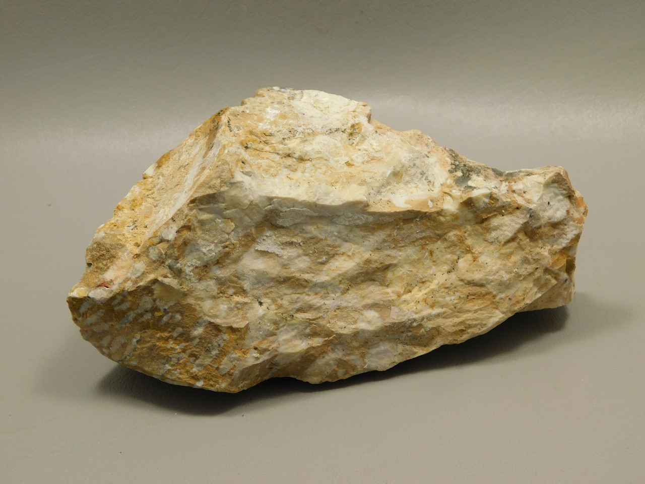 Spotted Fawn Stone or Tigilitis Lapidary Rough Rock #O2
