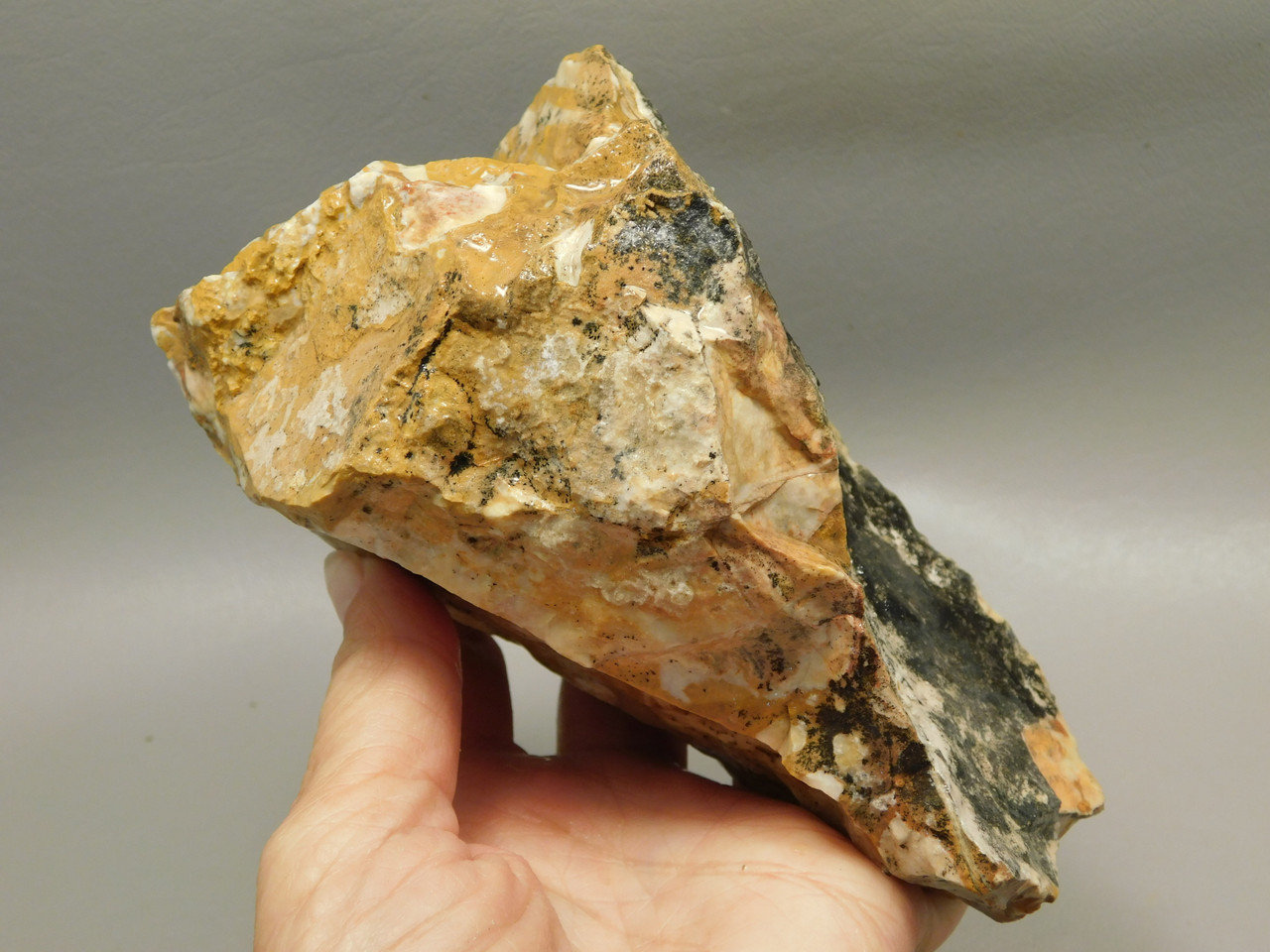Spotted Fawn Stone or Tigilitis Lapidary Rough Rock #O2