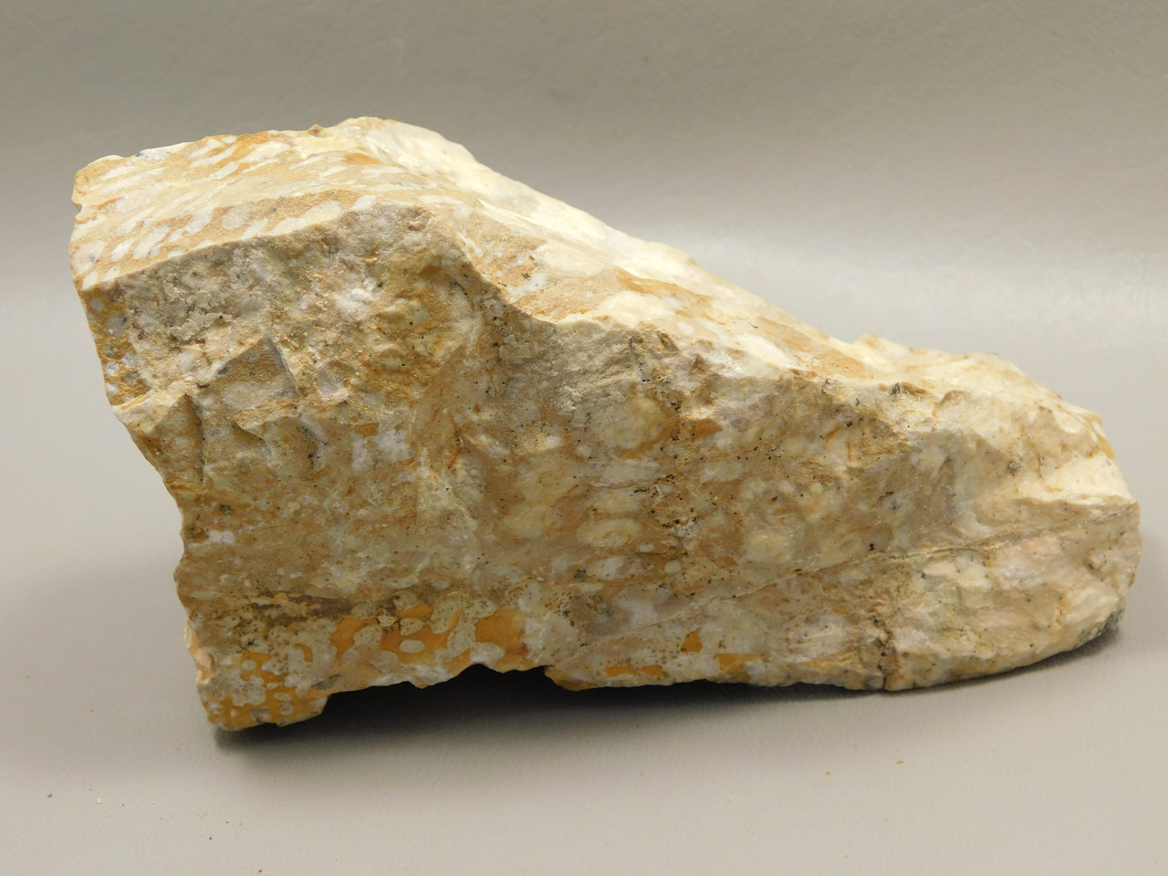 Spotted Fawn Stone or Tigilitis Lapidary Rough Rock #O2