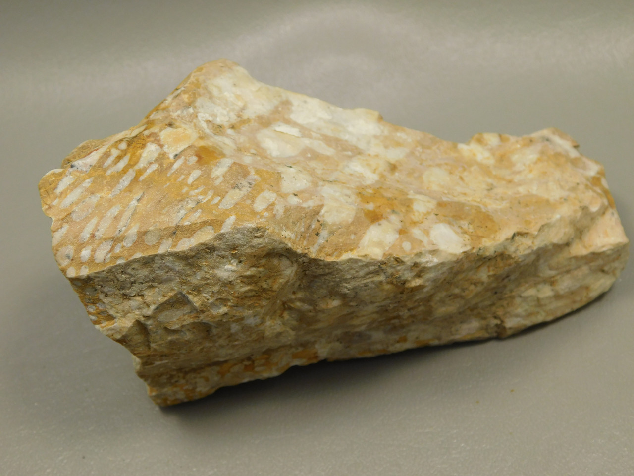 Spotted Fawn Stone or Tigilitis Lapidary Rough Rock #O2