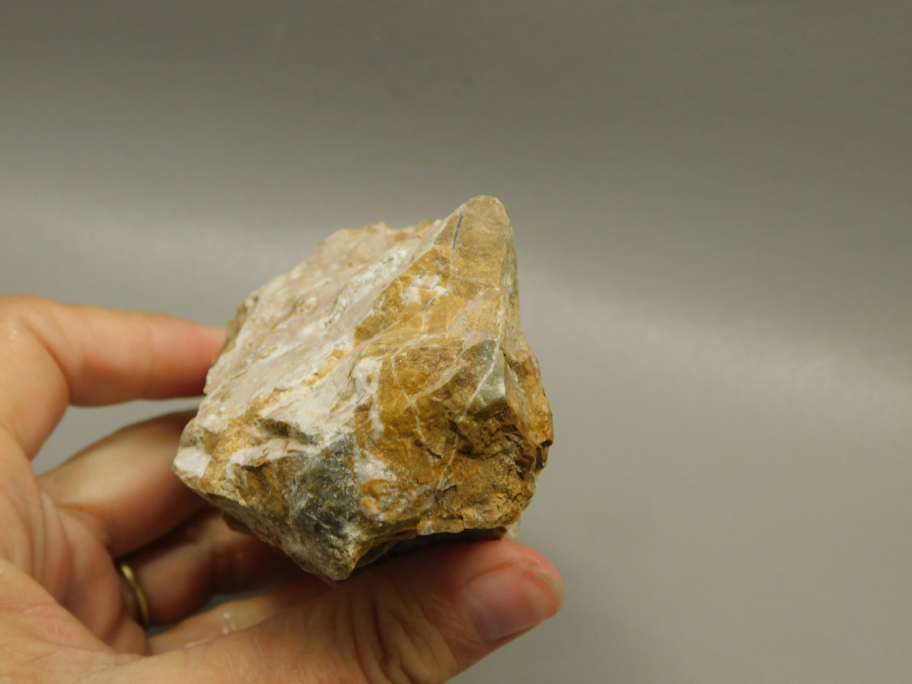 Spotted Fawn Stone or Tigilitis Lapidary Rough Rock #O3