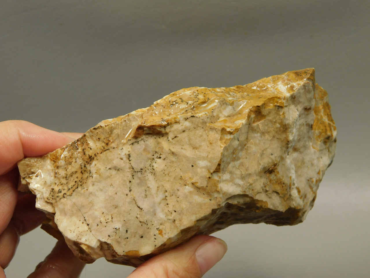 Spotted Fawn Stone or Tigilitis Lapidary Rough Rock #O3