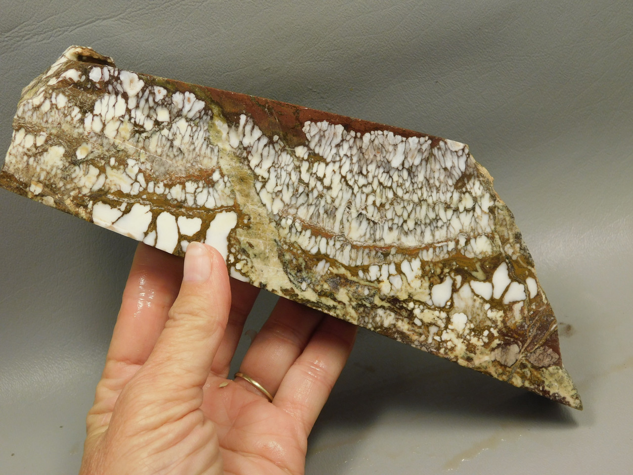 Wild Horse Unpolished Rough Rock Lapidary Arizona #O20