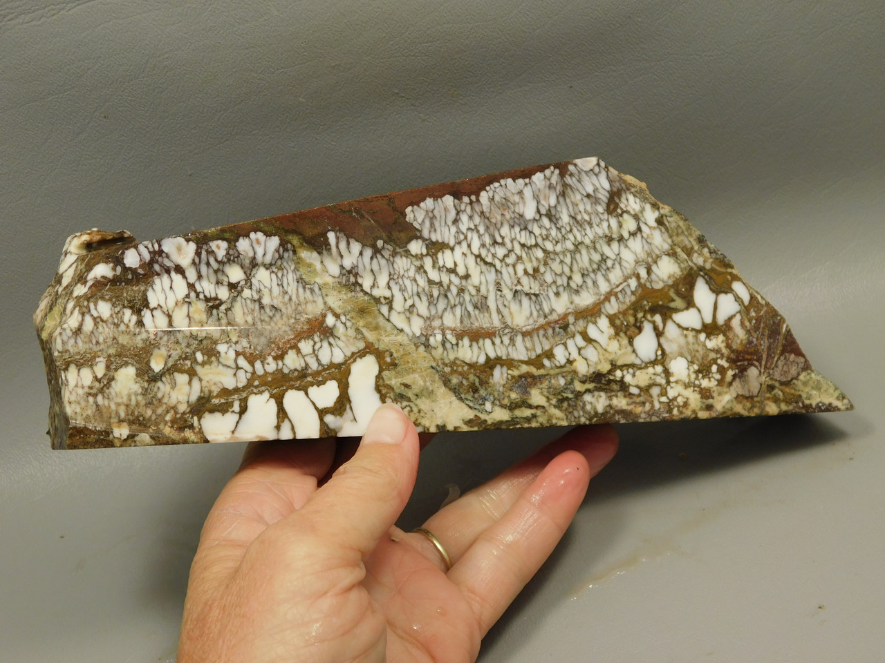 Wild Horse Unpolished Rough Rock Lapidary Arizona #O20