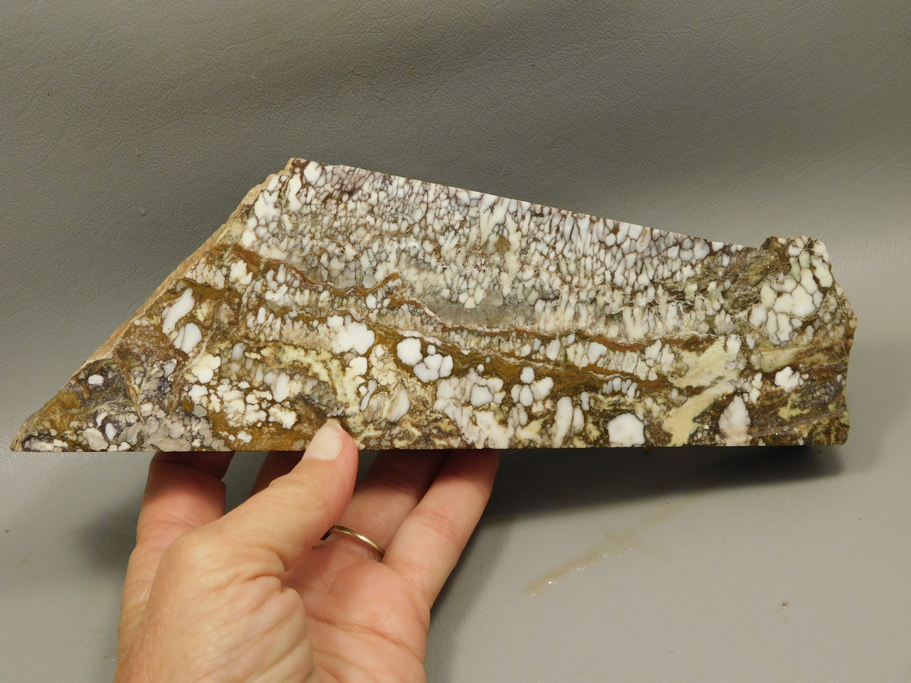 Wild Horse Unpolished Rough Rock Lapidary Arizona #O20