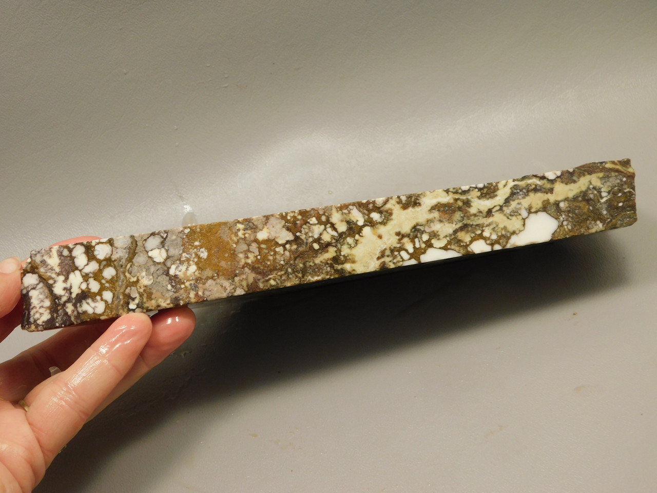 Wild Horse Unpolished Rough Rock Lapidary Arizona #O20