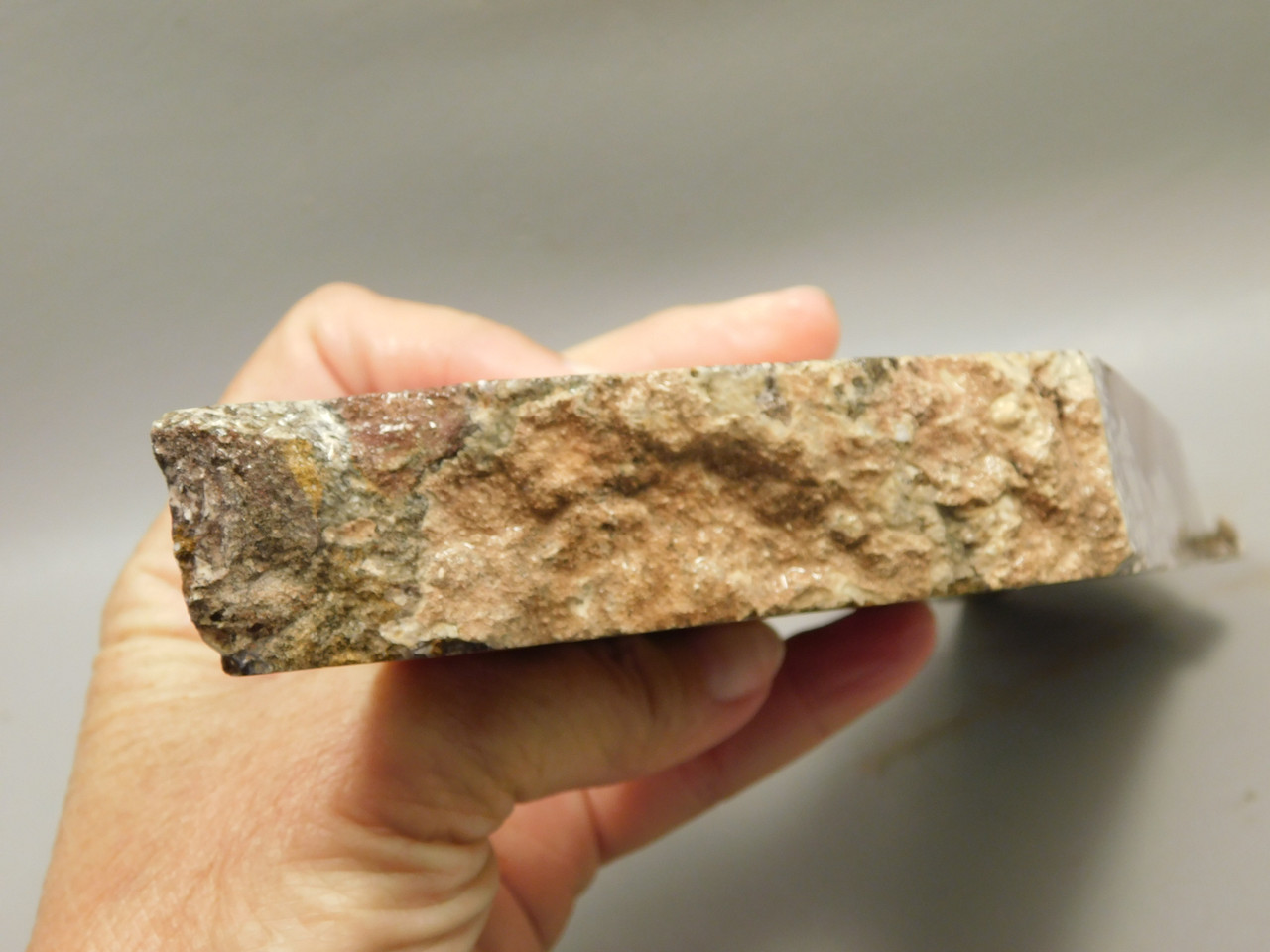 Wild Horse Unpolished Rough Rock Lapidary Arizona #O20