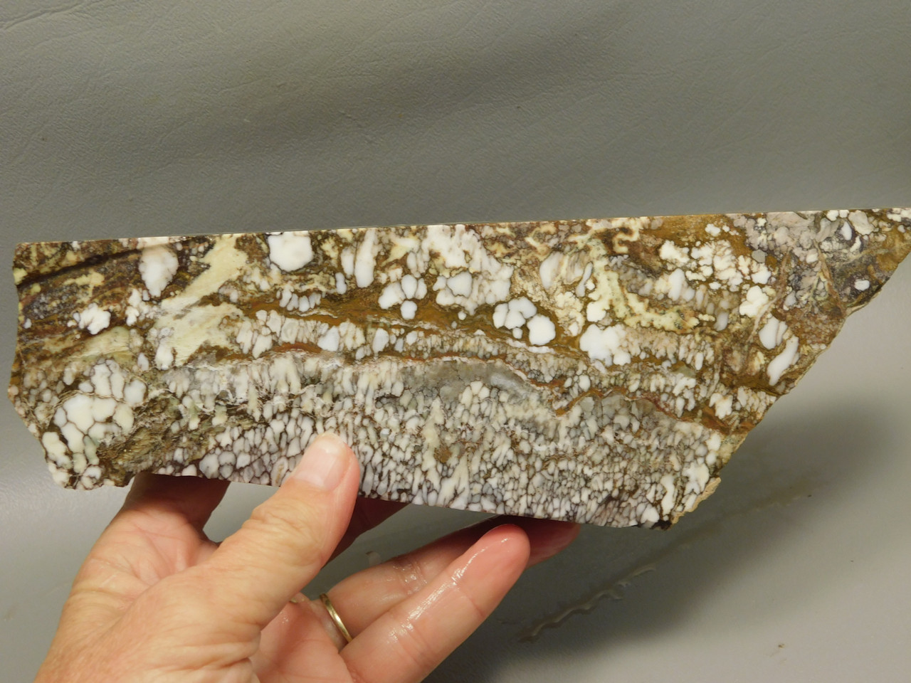 Wild Horse Unpolished Rough Rock Lapidary Arizona #O20