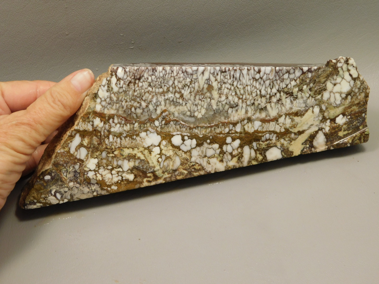 Wild Horse Unpolished Rough Rock Lapidary Arizona #O20