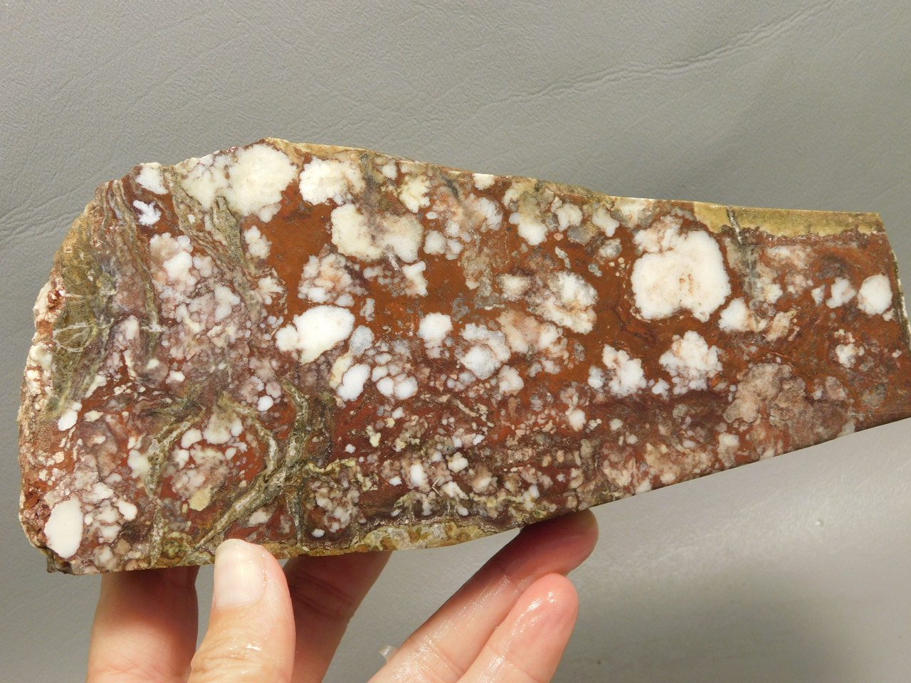 Wild Horse Unpolished Rough Rock Lapidary Arizona #O21
