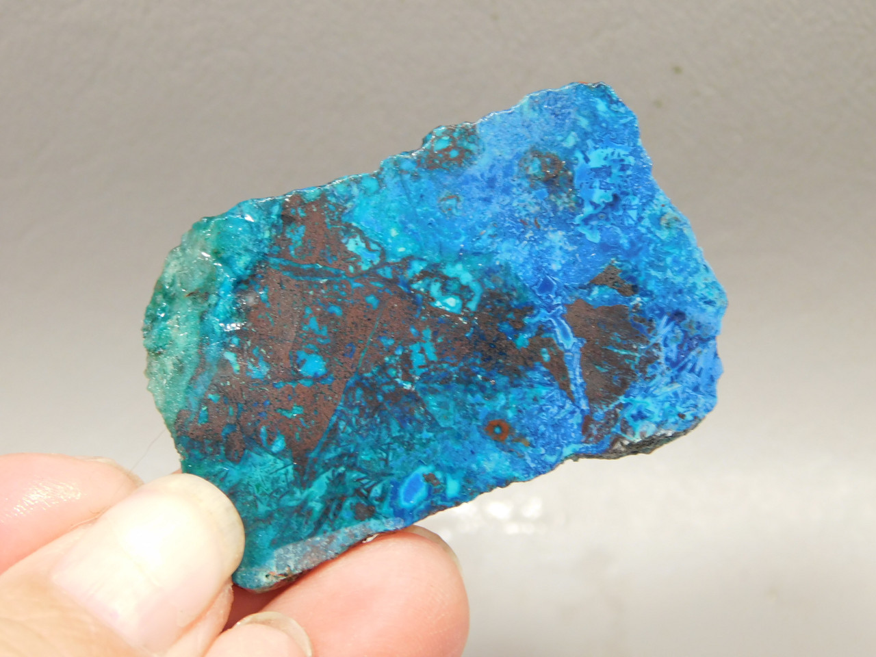 Chrysocolla Cuprite Shattuckite Unpolished Stone Slab Rough Rock #O7