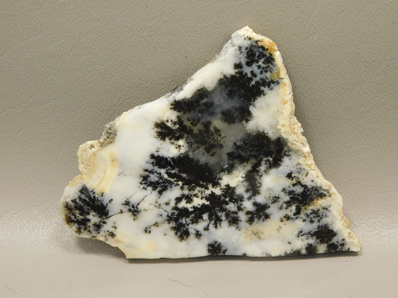 Medicine Bow Agate Stone Slab Unpolished Rough Rock Wyoming #O1