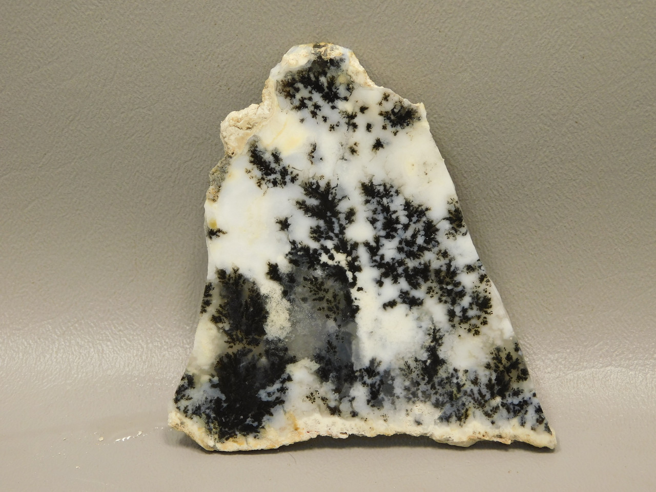 Medicine Bow Agate Stone Slab Unpolished Rough Rock Wyoming #O1