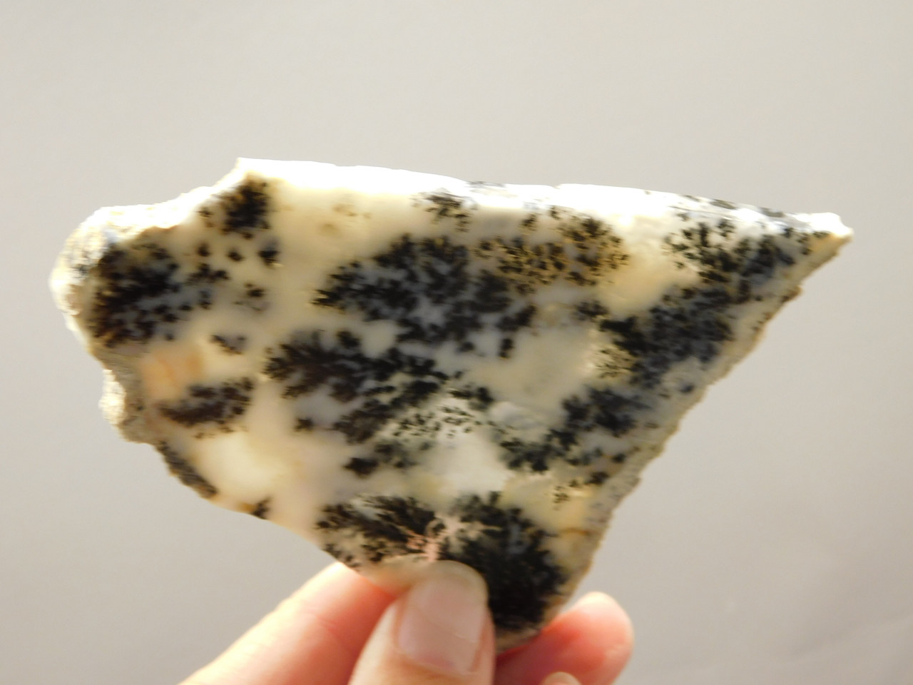 Medicine Bow Agate Stone Slab Unpolished Rough Rock Wyoming #O1